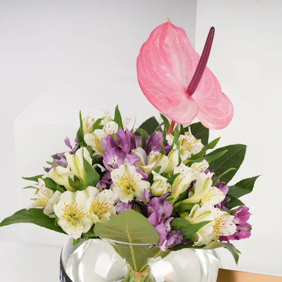 Ibraheem AL Qurashi Amethyst khozam | Purple Flowers