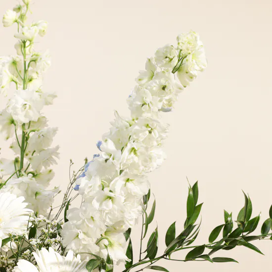Montblanc Wallet for Men | Harmony Flowers Vase