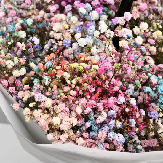 colorful graduation bouquet