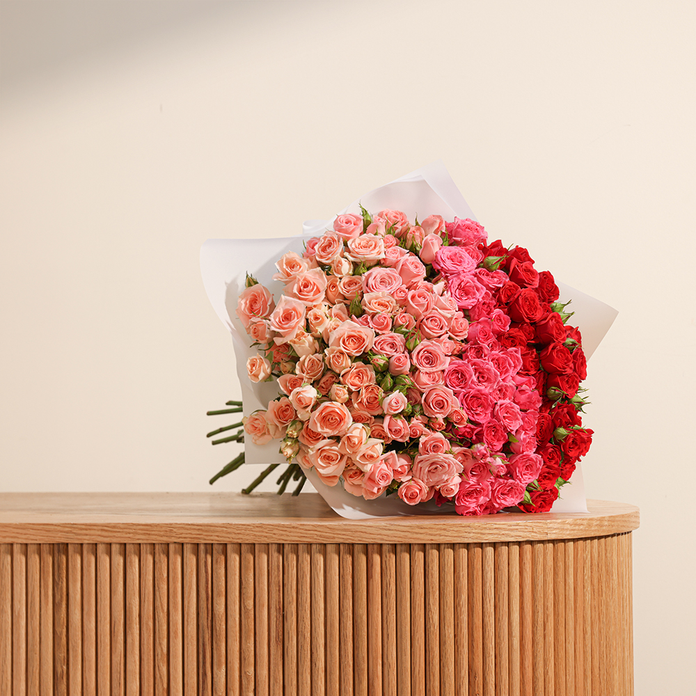 باقة بيبي جورى متنوعة كلاسيكية