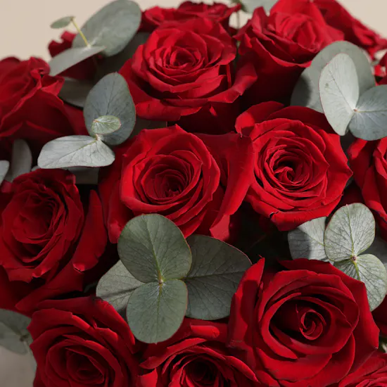 Roberto Cavalli Paradiso Holiday Set for Women | Red Magical Flowers