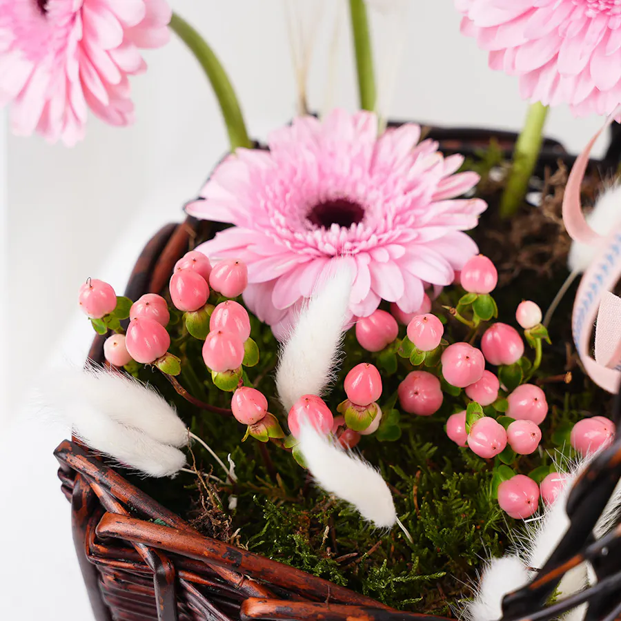 Levo Happy Basket | Gerbera 4