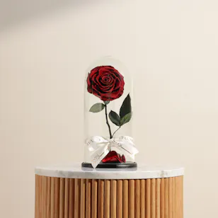 Dark Red Single Preserved Rose Dome