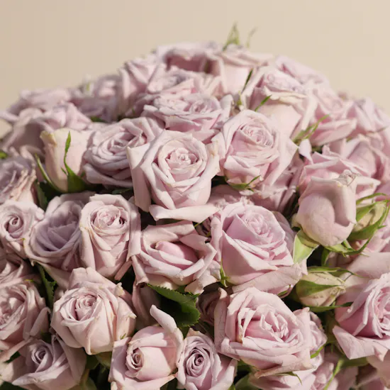 Purple Baby Roses Vase | 18 Flowers