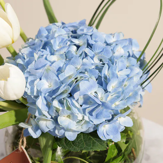 Enchasing Flowers Vase