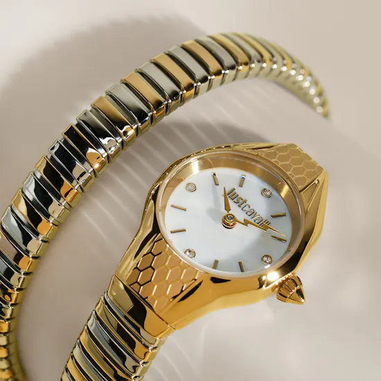 Just Cavalli Vivace Women's Two-tone Watch