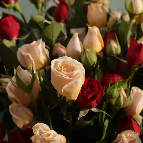 Gentle Flame Baby Roses Bouquet | 15 Flowers