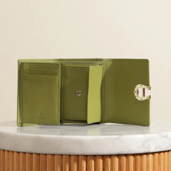 Aigner Pistachio Fashion Combination Women’s Wallet
