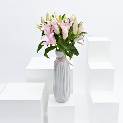 5 Pink Lilies | White Vase