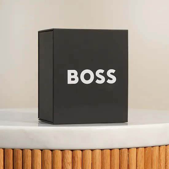 Boss Cheswick Stainless Steel Men's Watch
