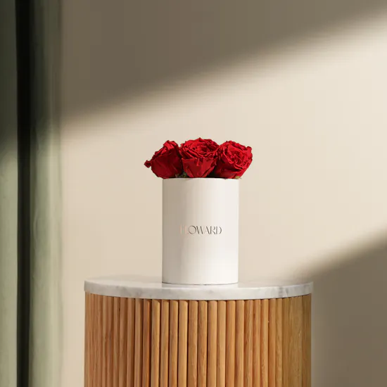 Preserved Red Roses Box