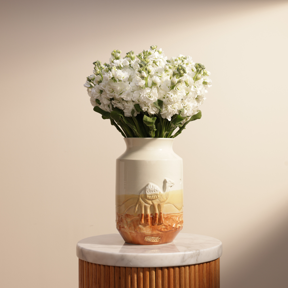 ماتيولا بيضاء | مزهرية كيراموس ستوديو