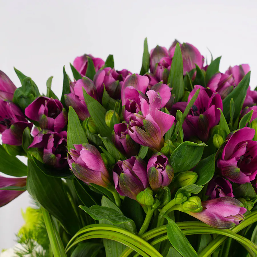 Delightful Garden Vase 3