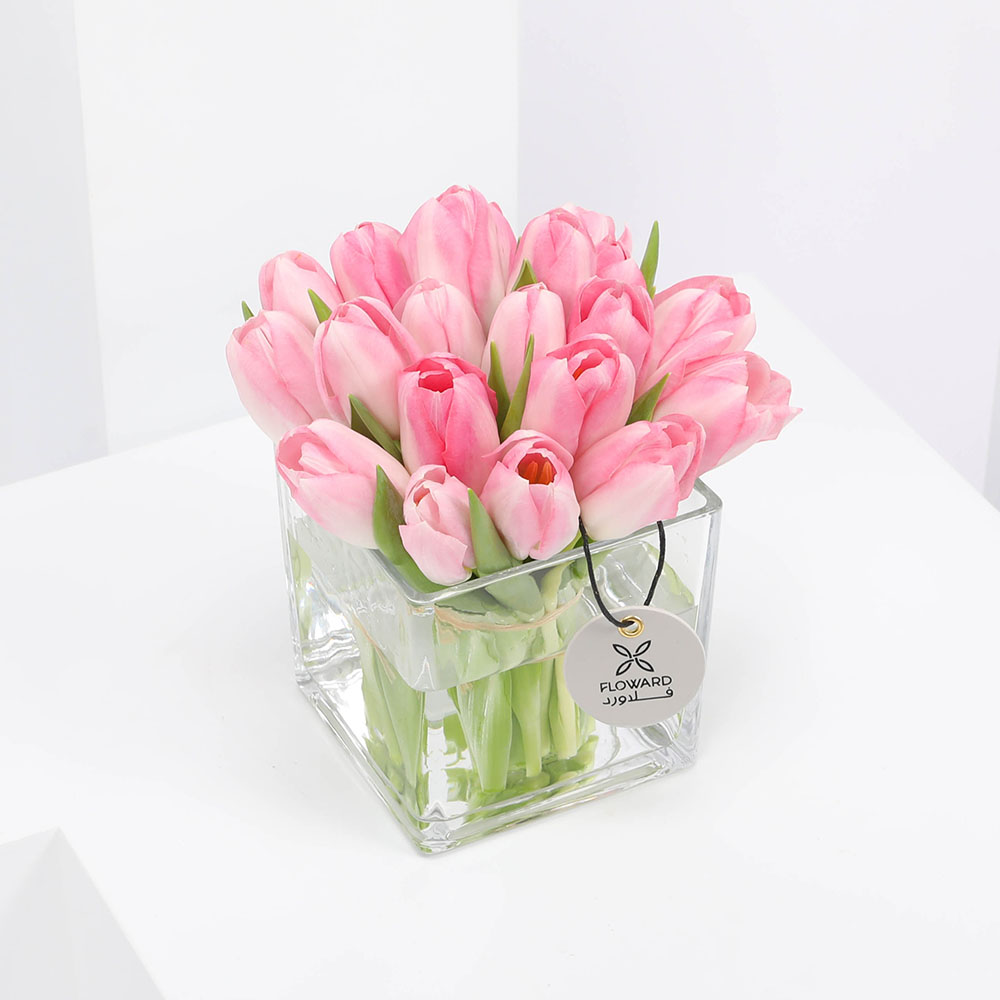  التوليب الوردى | مزهرية مربعة