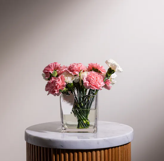 Elegance Reverie Carnation Vase