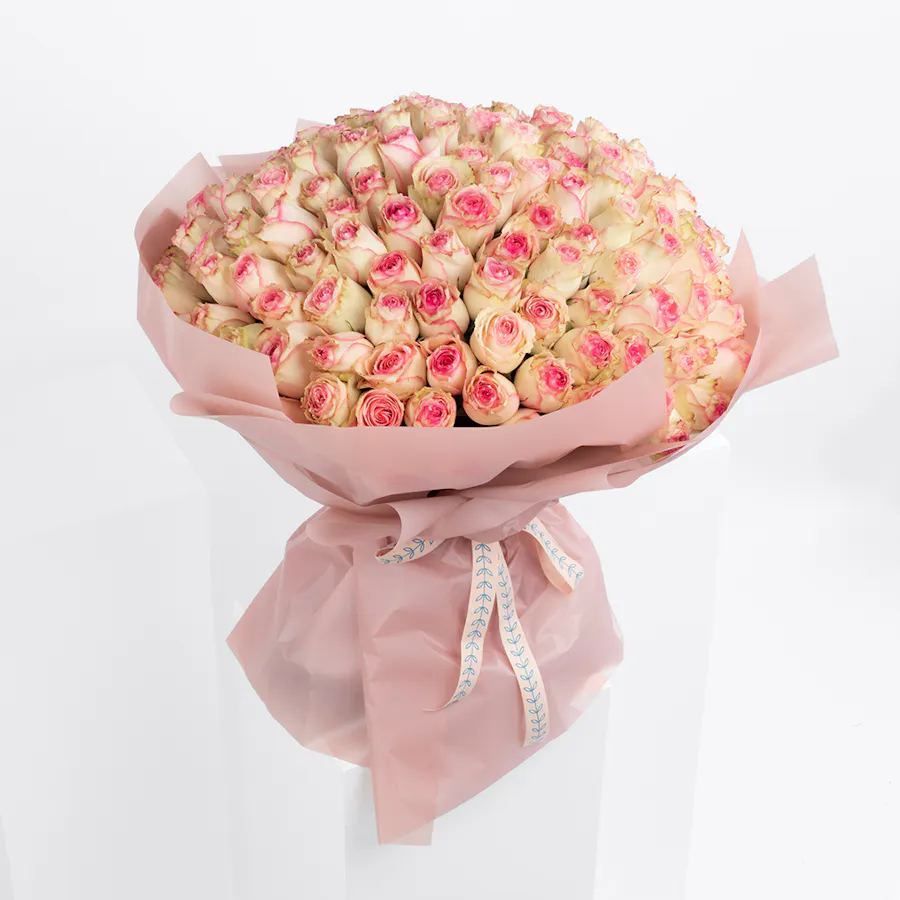 150 Esperance | Pink Wrap 2