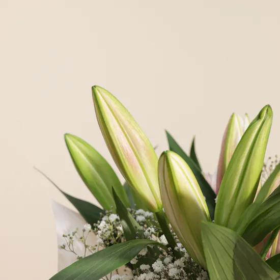 Madeleine Elegant Bow Congrats Cake | Thoughtful Gesture Flowers Bouquet