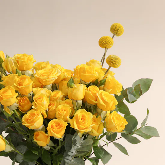 مزهرية زهور دفء النهار