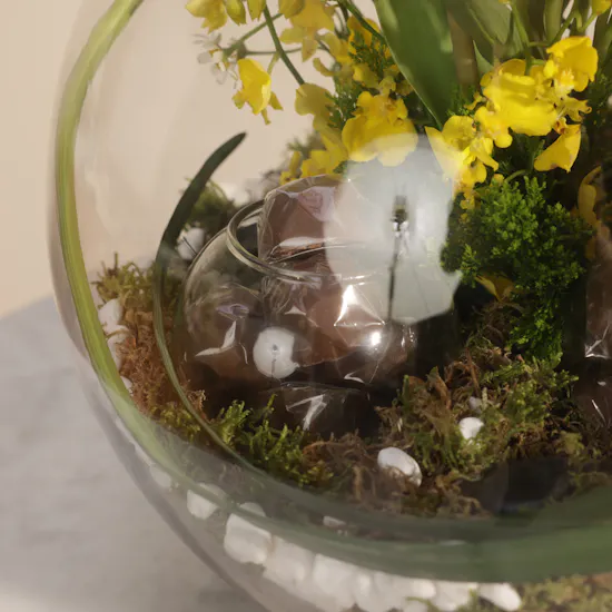 Floward New Baby Boy Chocolates and Flowers Vase