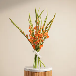 Orange Gladiolus | Flowers Bouquet