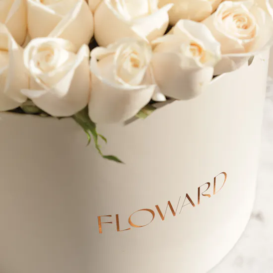 Ray of Hope White Roses Box | 55 Flowers