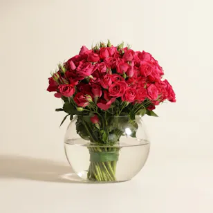 Delight Flowers Vase | 35 Flowers