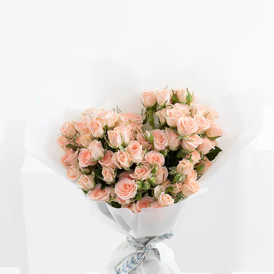 Peachy Passion | Baby Roses