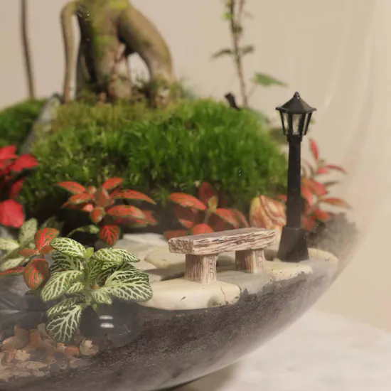 Nature's Glow Terrarium