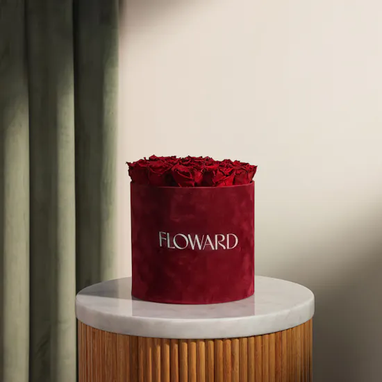 Stunning Preserved Red Rose Velvet Box