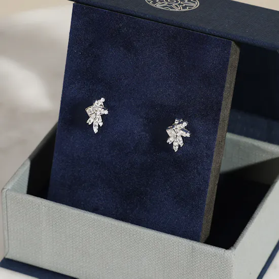 Hilia Twinkling Star Silver and Zircon Women’s Earrings