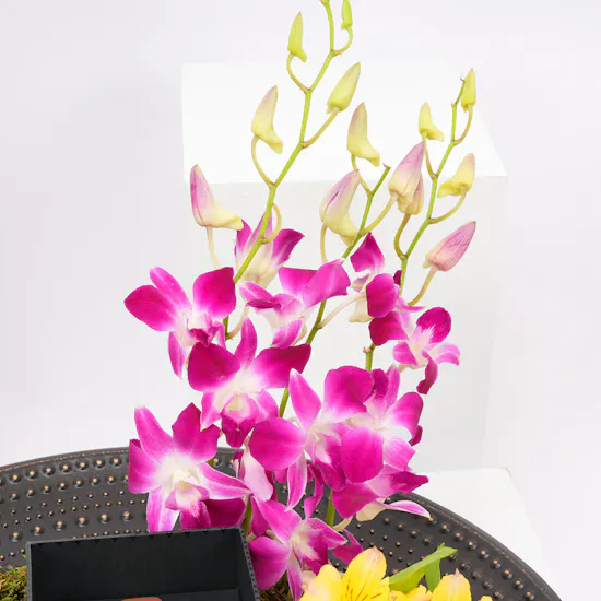 Avalieri Prestige Women's Watch | Blooms Tray