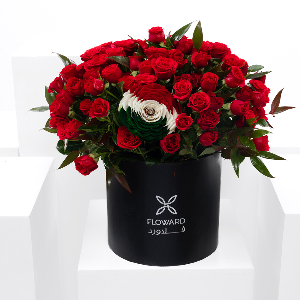 جوري المكسيك | صندوق أسود