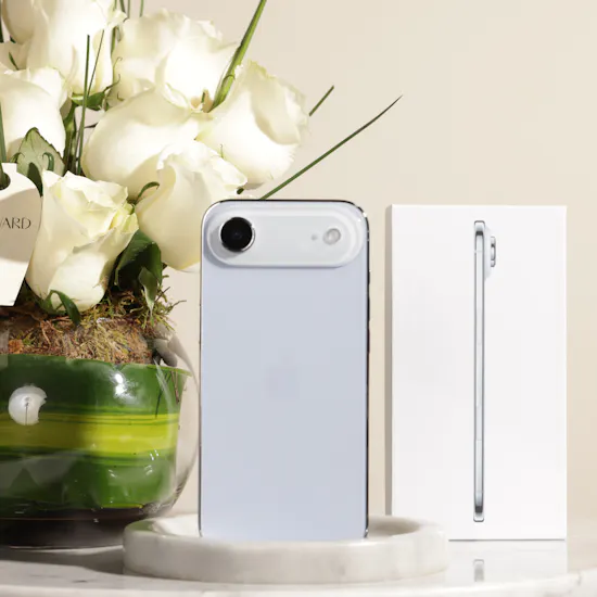 Apple Sky Blue iPhone 17 Air 256 GB | Charming Flower Vase