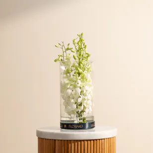 Baby Orchid Vase