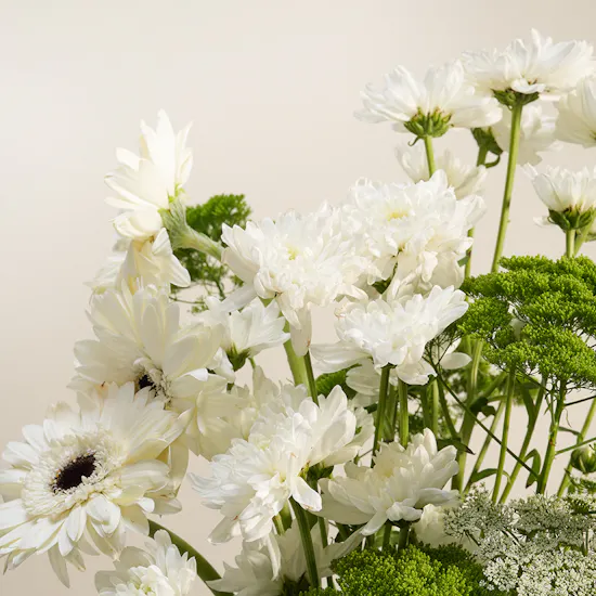 Graden Paradise White Gerbera Vase
