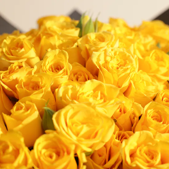 Yellow Radiance Bouquet | 25 Baby Roses