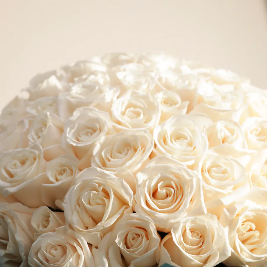 Snowy Bliss Bouquet | 150 Roses 4