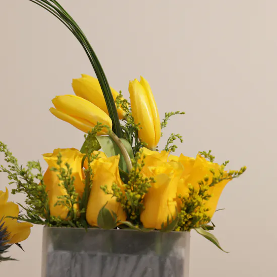 Abucci Chocolate | Yellow Blooms