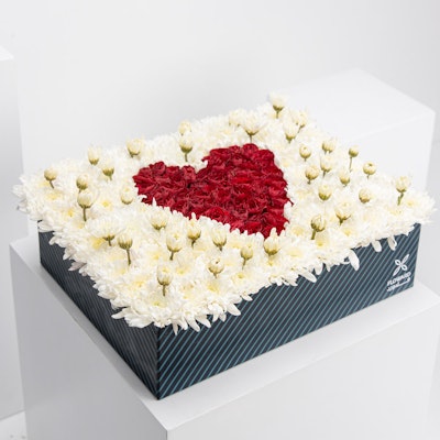 Red Heart White Chrysanths Box