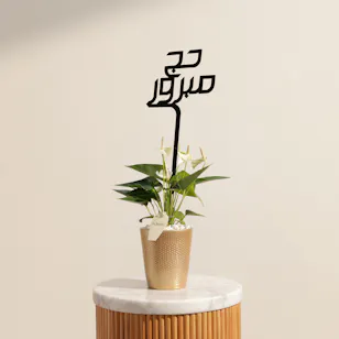 نبات أنثوريوم البيضاء الهادئة للحج 