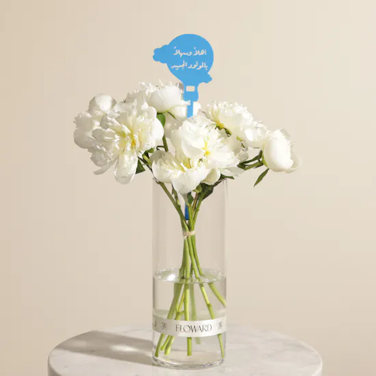 Welcome Little Prince Bundle