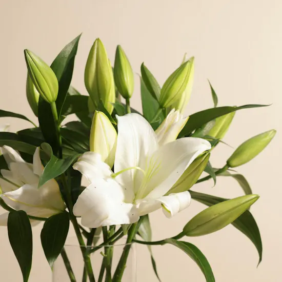 White Lily Shine Flowers Vase | 8 Flowers