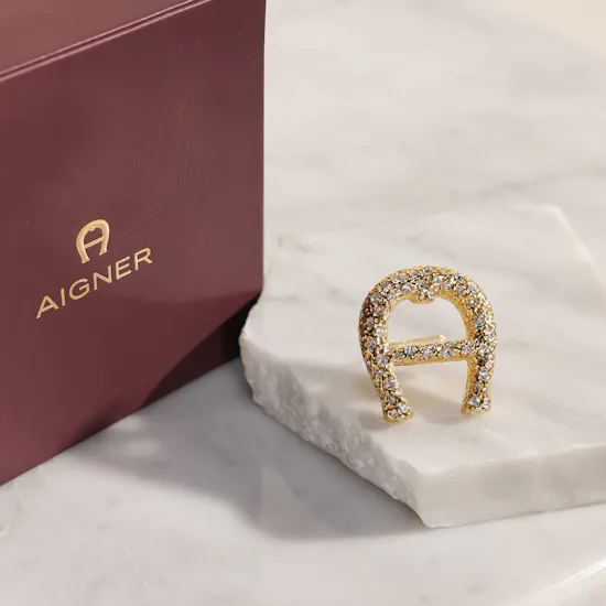 Aigner Vera Women's Brooch