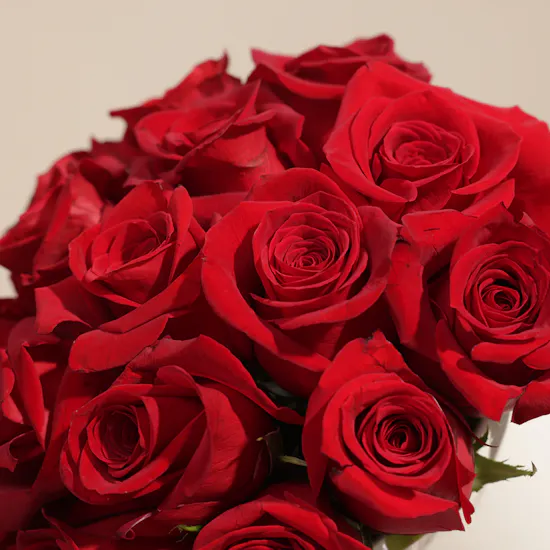 Romantic Red Roses Box | 15 Roses