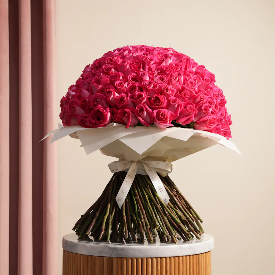 Fuchsia Roses Bouquet | 250 Flowers 1