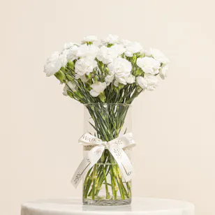 Pure White Baby Carnation Vase Pure White Baby Carnation Vase