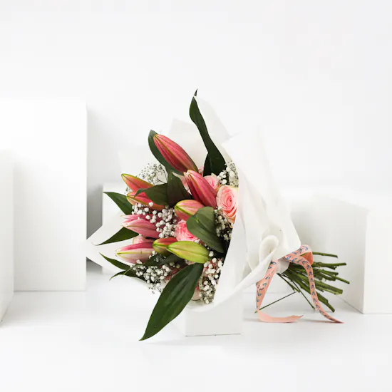 Blush Allure | White Wrap