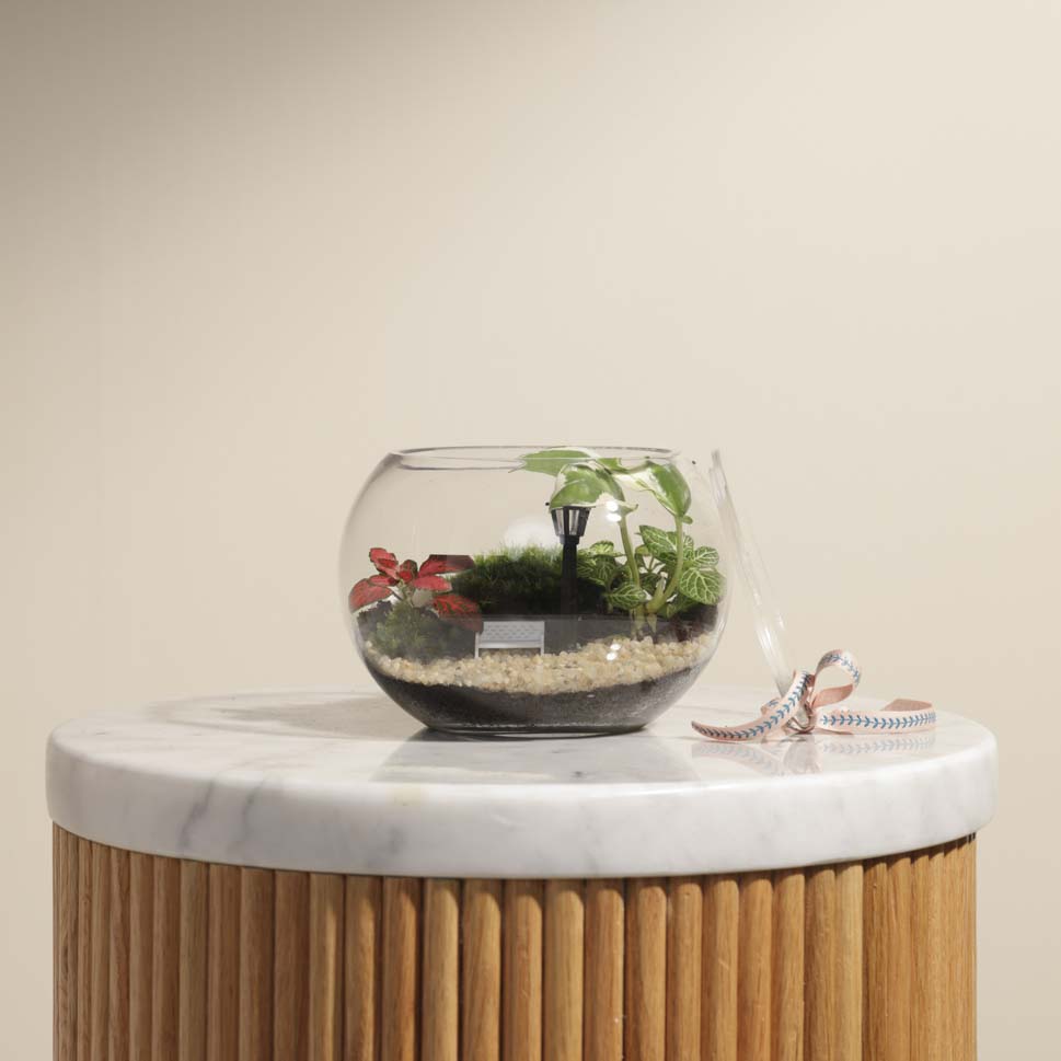  تيراريوم انسجام الطبيعة