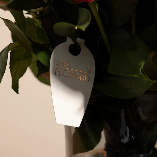 Graceful Roses | Chic Vase