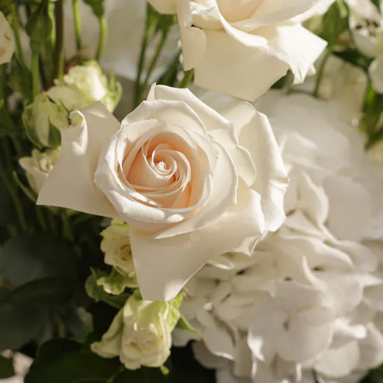 Celestial White Harmony Flowers Vase By September Studio